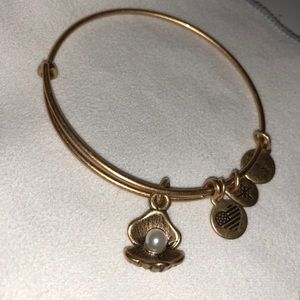 Alex and Ani Oyster bracelet